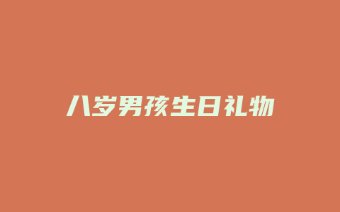 八岁男孩生日礼物