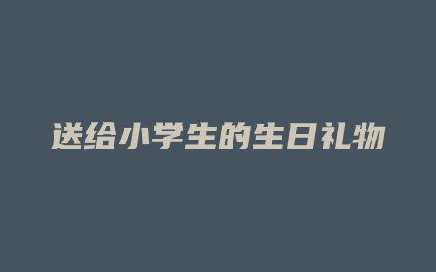 送给小学生的生日礼物